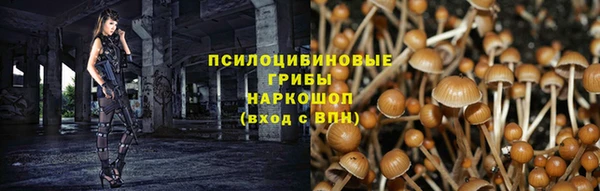 сатива Наволоки