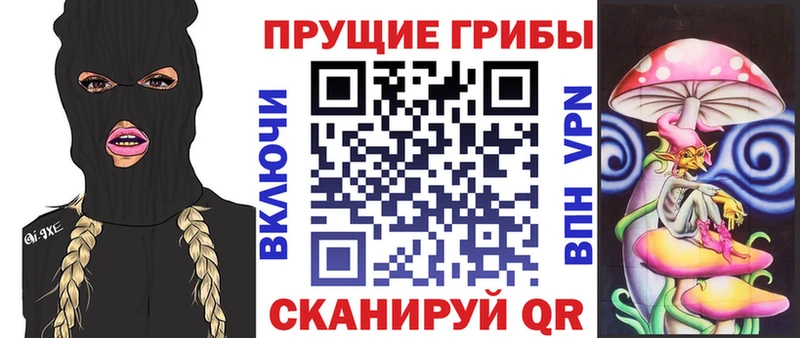 Галлюциногенные грибы GOLDEN TEACHER  Поронайск 